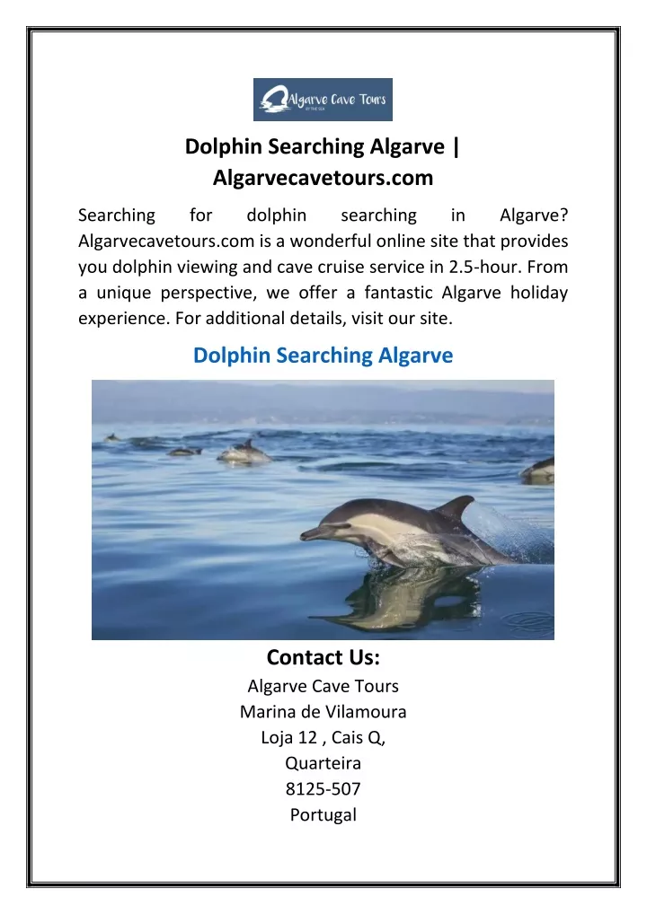 dolphin searching algarve algarvecavetours com