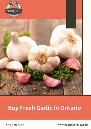 Buy Fresh Garlic in Ontario - Healthy Cloves Garlic Company