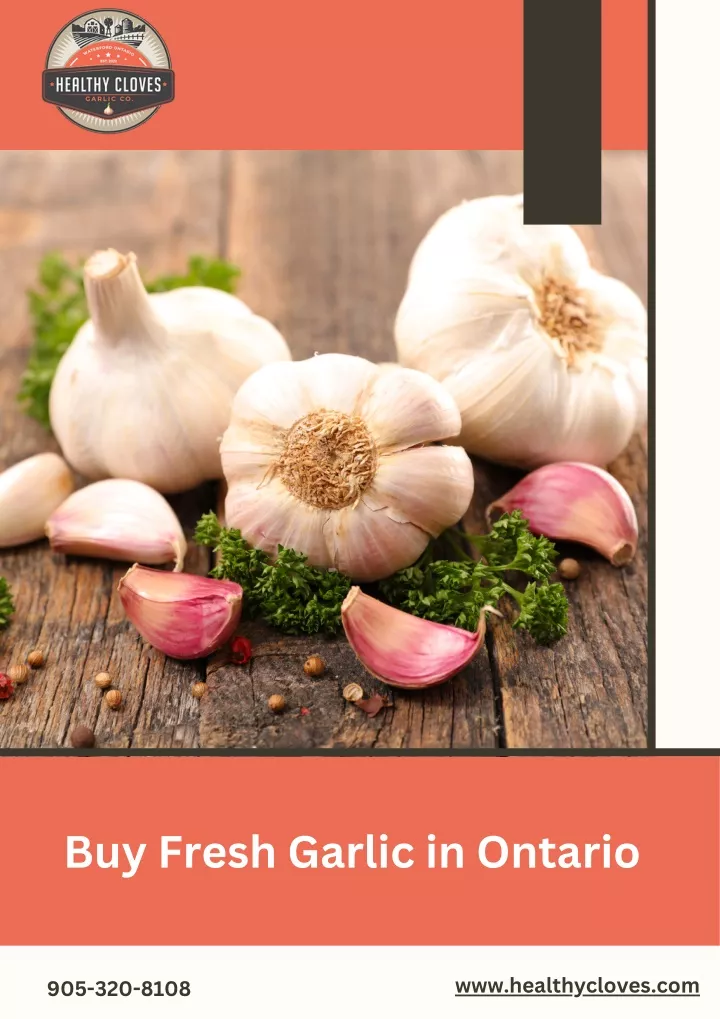 buy fresh garlic in ontario