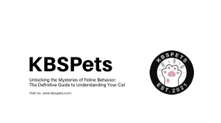 Unlocking the Mysteries of Feline Behavior The Definitive Guide to Understanding Your Cat