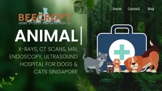 X-rays, CT scans, MRI, Endoscopy, Ultrasound hospital for dogs & cats Singapore