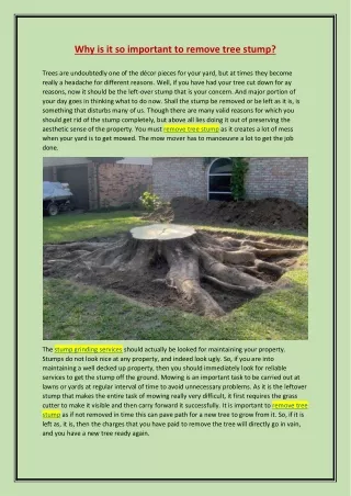 Why is it so important to remove tree stump