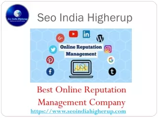 Best Online Reputation Management Company - Seo India Higherup