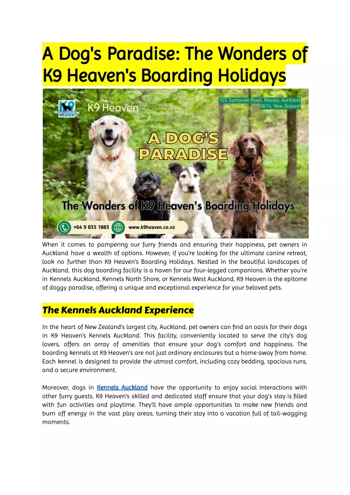 a dog s paradise the wonders of k9 heaven