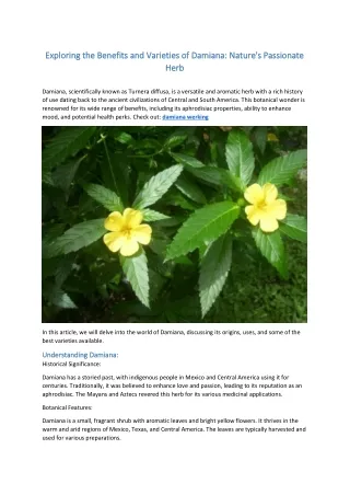 Exploring the Benefits and Varieties of Damiana Nature's Passionate Herb