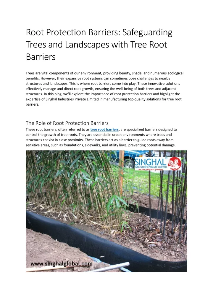 root protection barriers safeguarding trees