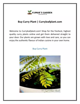 Buy Curry Plant  Curryleafplant com