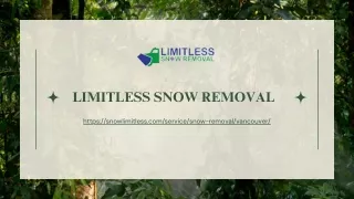 Reliable Snow Plowing Services In Vancouver