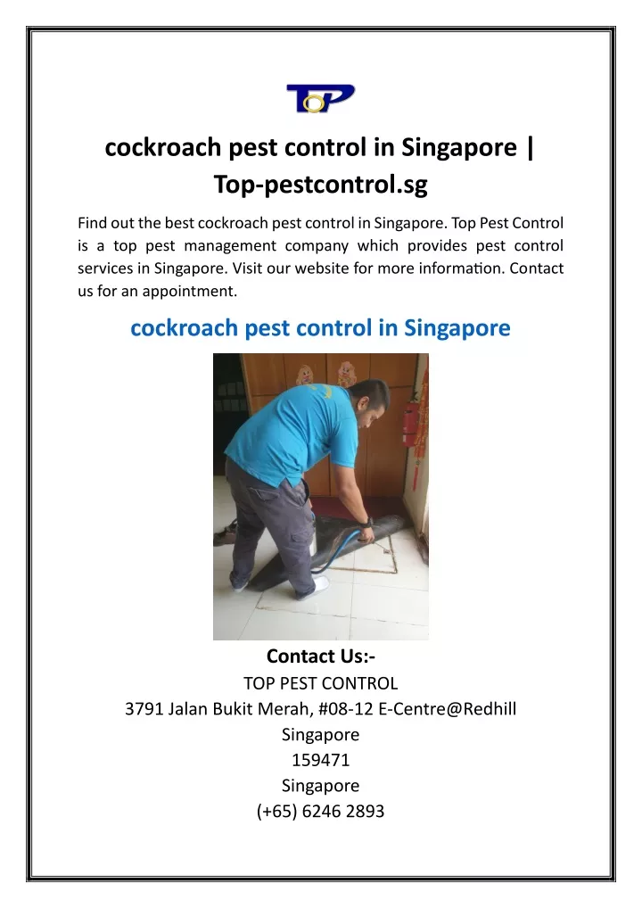 cockroach pest control in singapore