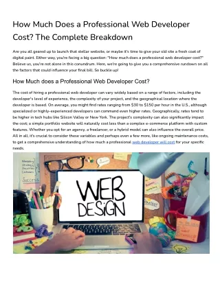 Professional Web Developer Cost