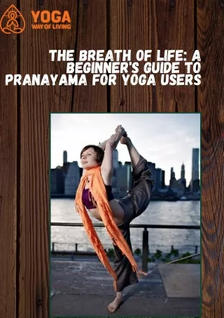 The Breath of Life A Beginner's Guide to Pranayama for Yoga Users