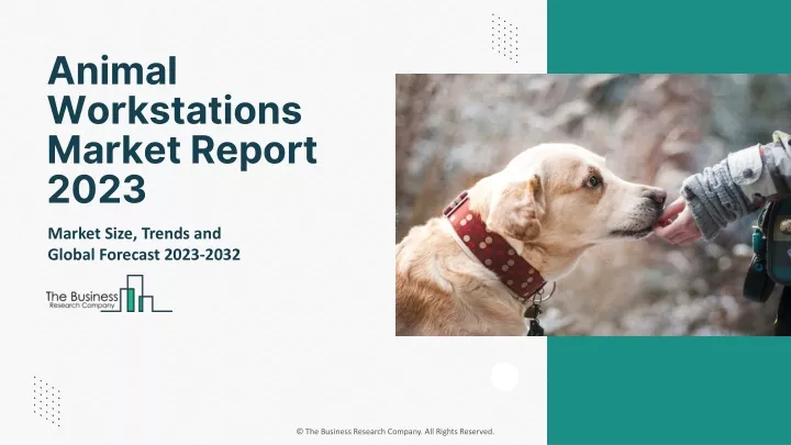animal workstations market report 2023