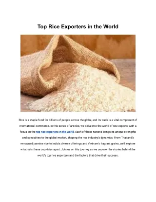 Top Rice Exporters in the World