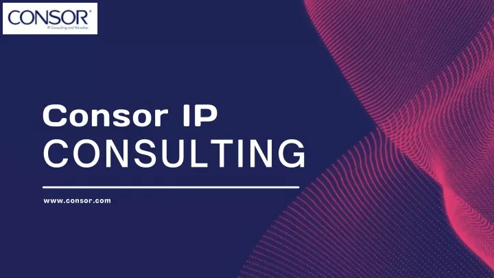 consor ip consulting