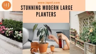 Get the best Modern large Planters in New Style | IAPSF