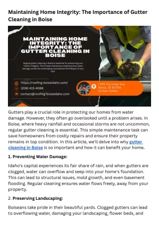 Maintaining Home Integrity: The Importance of Gutter Cleaning in Boise