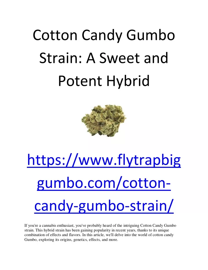 cotton candy gumbo strain a sweet and potent