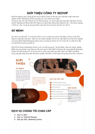 GIỚI THIỆU CÔNG TY SEOVIP