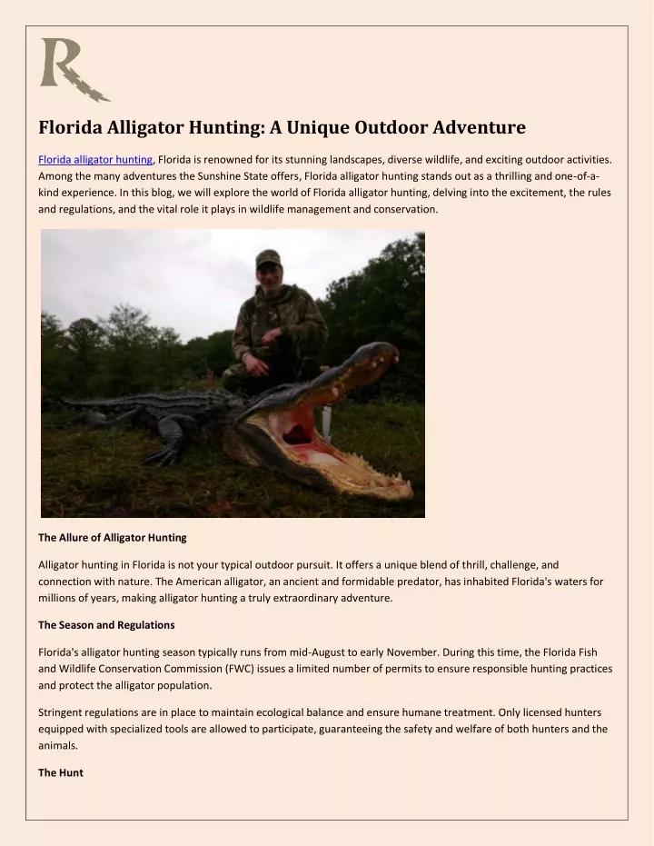 florida alligator hunting a unique outdoor