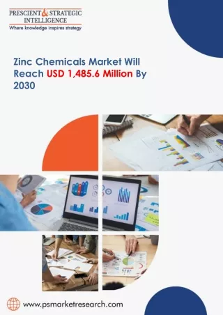 Zinc Chemicals Market Trends, Segment Analysis and Future Scope