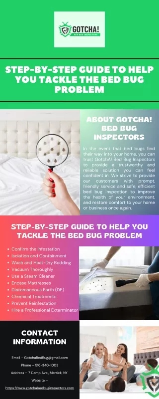 Step-By-Step Guide to Help You Tackle the Bed Bug Problem