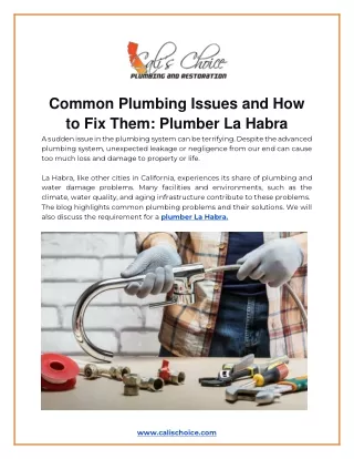 Common Plumbing Issues and How to Fix Them Plumber La Habra