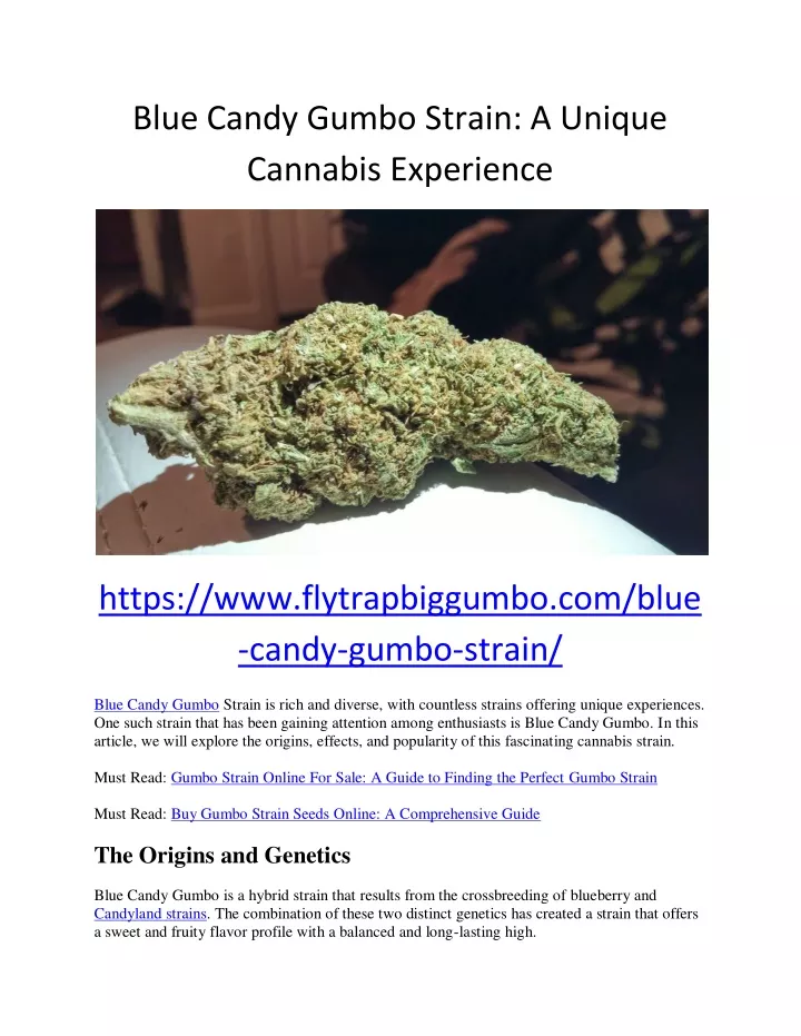 blue candy gumbo strain a unique cannabis