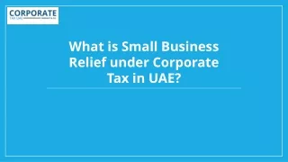 What is Small Business Relief under Corporate Tax in UAE