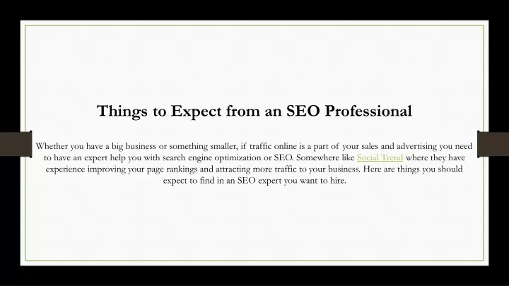 things to expect from an seo professional