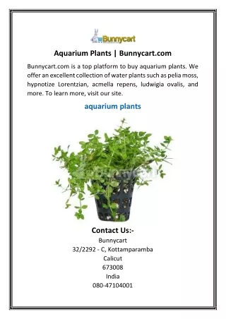Aquarium Plants  Bunnycart.com