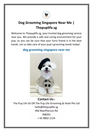 Dog Grooming Singapore Near Me  Thepuplife.sg