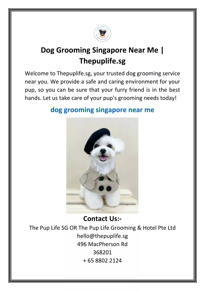 dog grooming singapore near me thepuplife sg