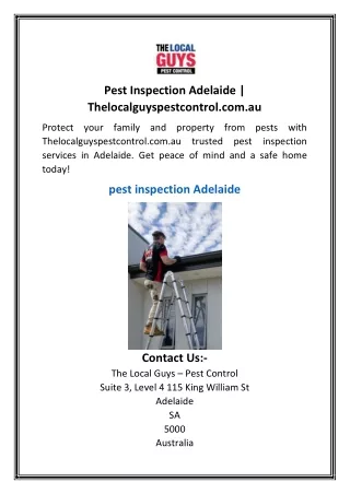 Pest Inspection Adelaide  Thelocalguyspestcontrol.com.au