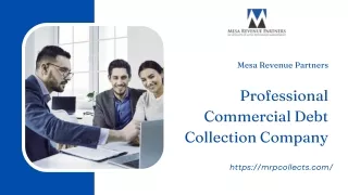 Professional Commercial Debt Collection Company | Mesa Revenue Partners