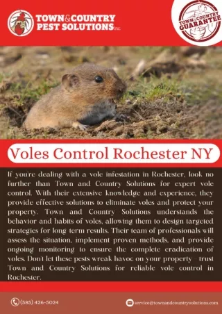 VOLES Rochester Control