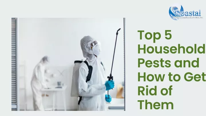 top 5 household pests and how to get rid of them