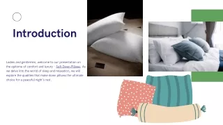 introduction