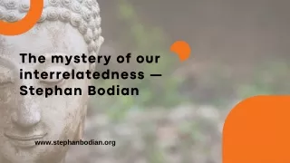 The mystery of our interrelatedness — Stephan Bodian