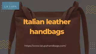 Italian leather handbags (1)