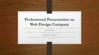 professional presentation on web design company