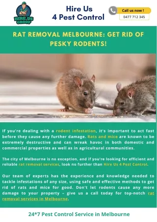 Rat Removal Melbourne Get Rid of Pesky Rodents!