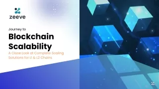 Journey to Blockchain Scalability:A Close Look at Complete Scaling Solutions