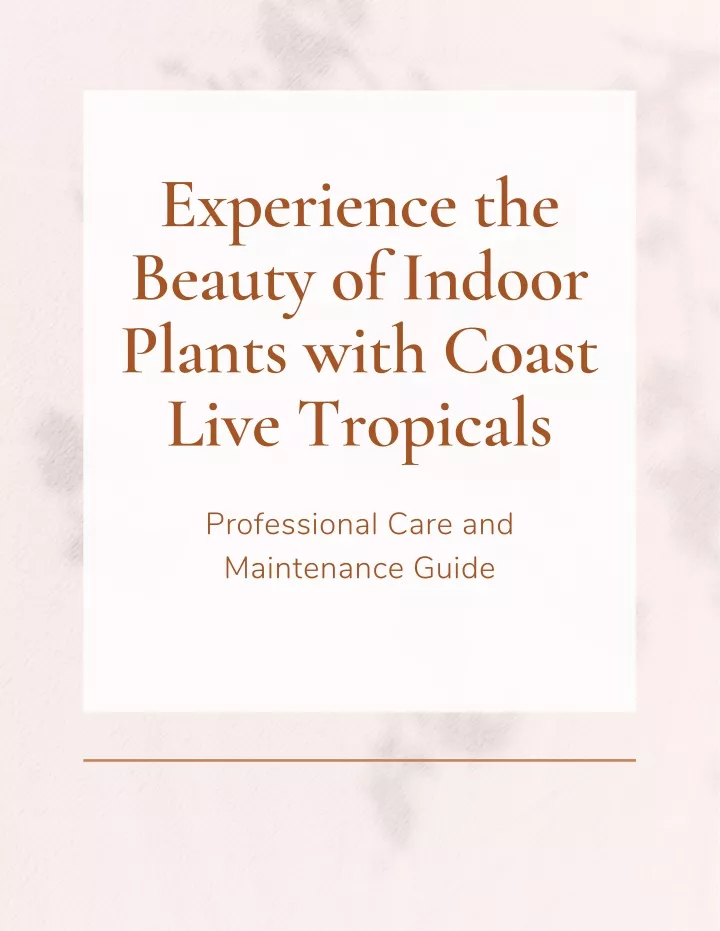 experience the beauty of indoor plants with coast