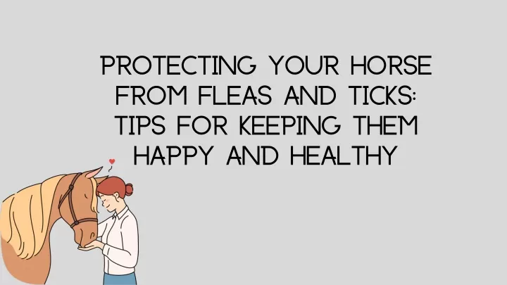 protecting your horse from fleas and ticks tips