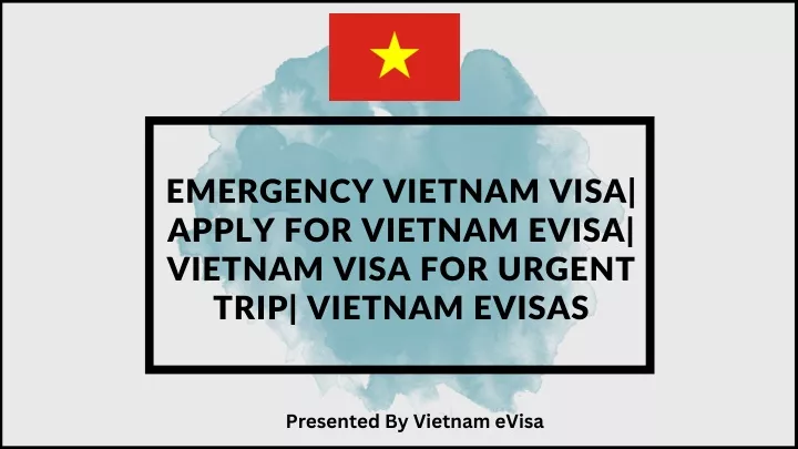 emergency vietnam visa apply for vietnam evisa
