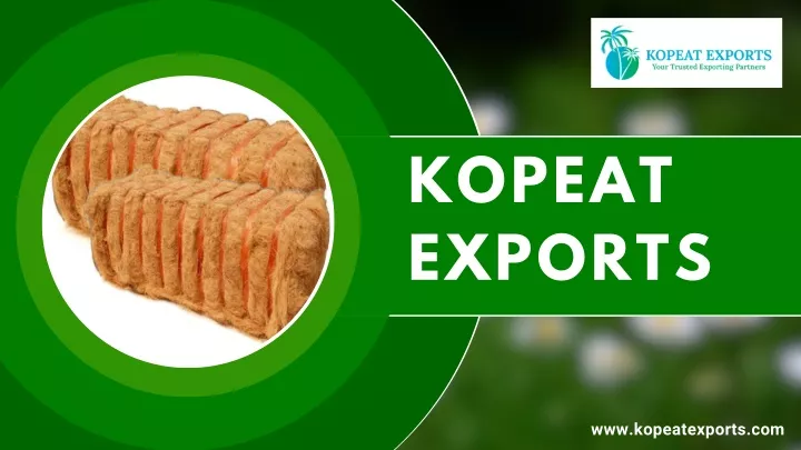 kopeat exports