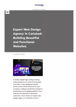 expert web design agency in carlsbad building