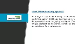 Social Media Marketing Agencies 5borodigital.com
