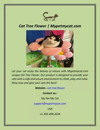 Cat Tree Flower  Mypetmycat