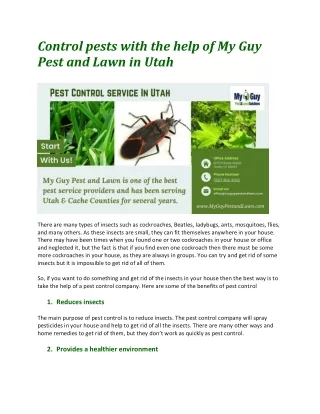 Control pest with the help of My Guy Pest and Lawn in Utah